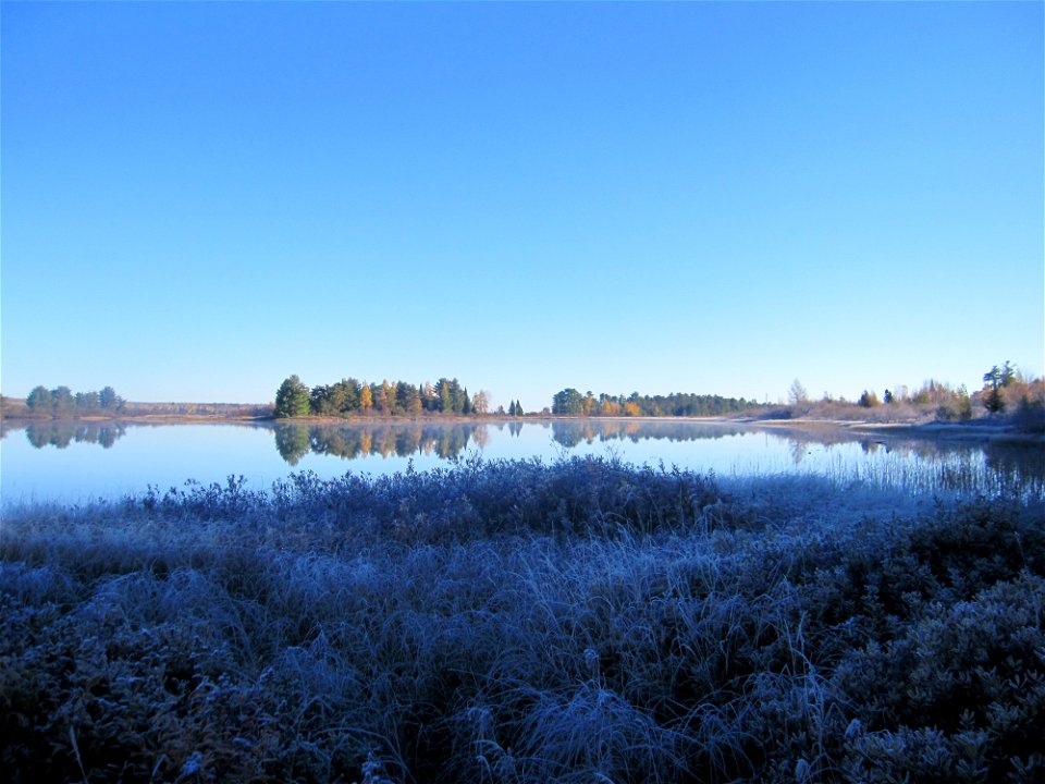 Lake Superior Wetland in the Abbaye Peninsula, Michigan.