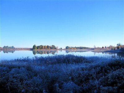 Lake Superior Wetland in the Abbaye Peninsula, Michigan. photo