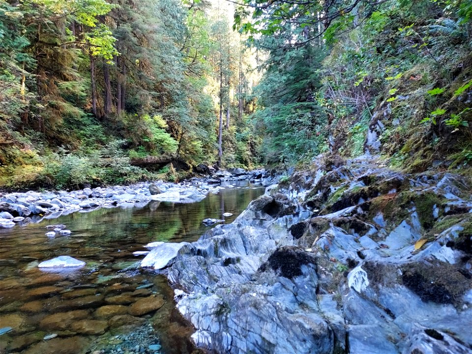 Clear Creek, Mt. Baker-Snoqualmie National Forest. Photo by Anne Vassar Sept. 13, 2021.