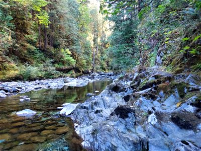 Clear Creek, Mt. Baker-Snoqualmie National Forest. Photo by Anne Vassar Sept. 13, 2021. photo