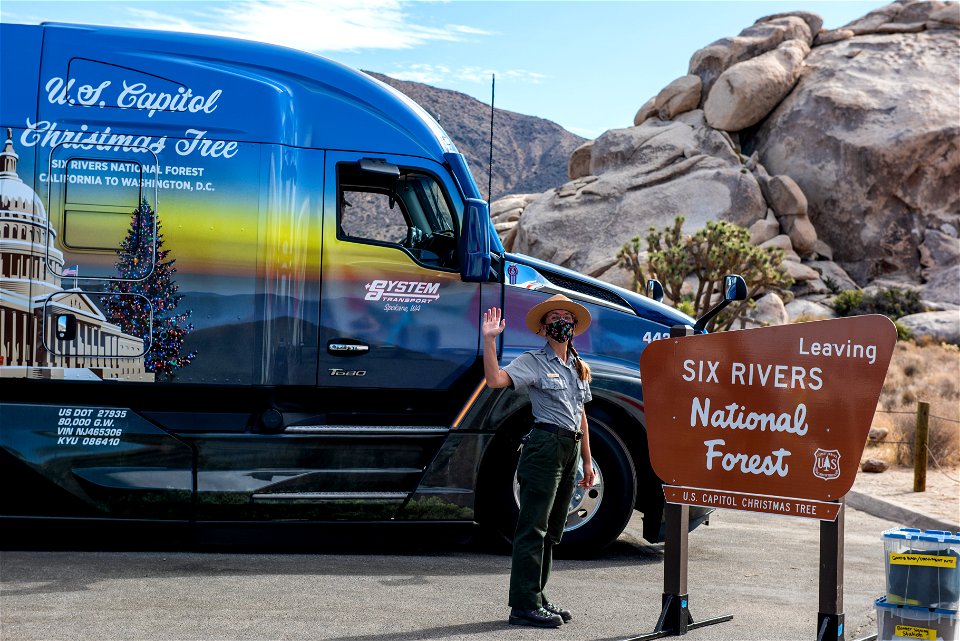 The National Christmas Tree Event at Cap Rock photo