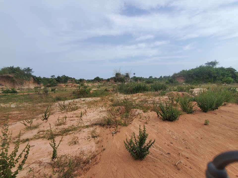 Landscape desert environment