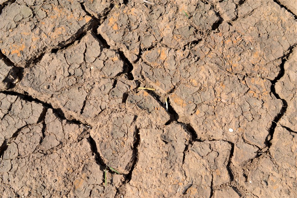 Free textures with cracks