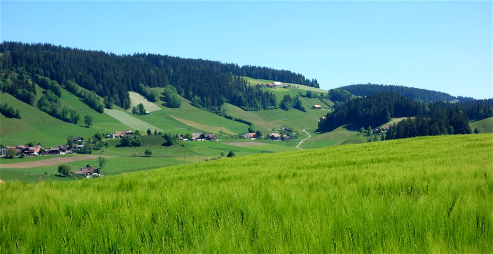 DSC05586