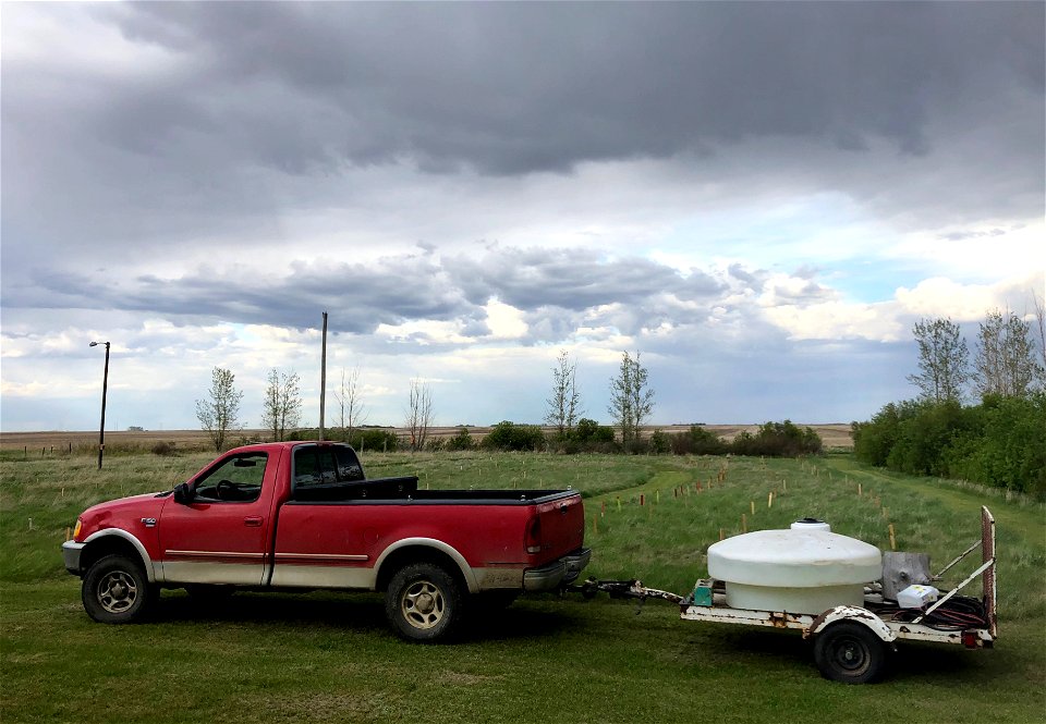 2022/365/144 Have Tank Will Water