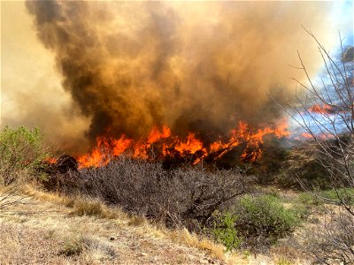 Cooper Canyon Fire photo