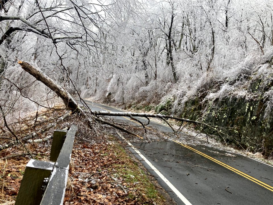 Ice Storm 2022 photo