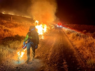 2022 BLM Fire Employee Photo Contest Category - Fuels Management photo