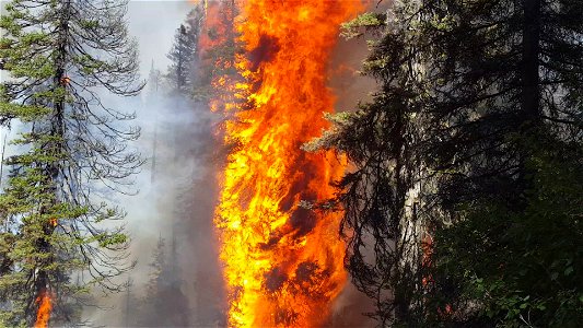 Pioneer Fire, Boise National Forest