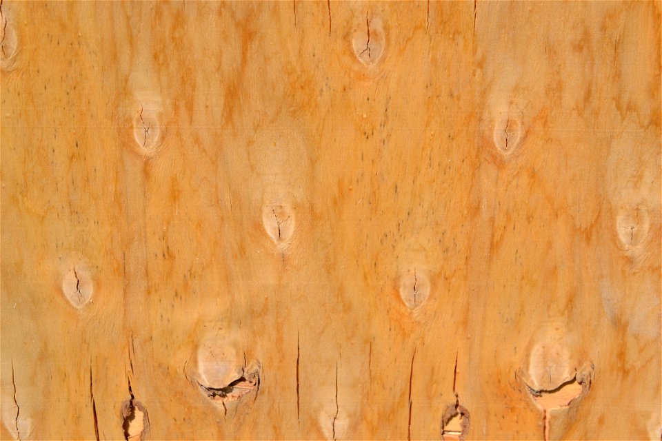 Texture
