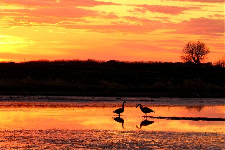 Sunset at Huron Wetland Management District South Dakota