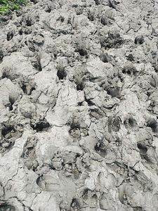 Dry mud earth muddy sand photo