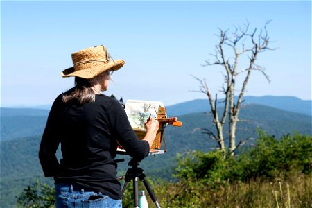 Painter at Jewell Hollow Overlook photo