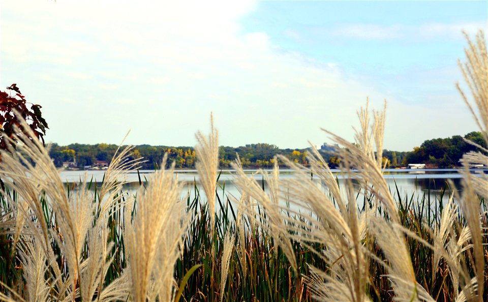 Orchard Lake in Minnesota