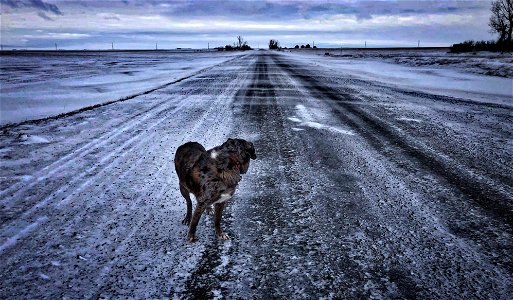 Rush Hour on the Boharm Grid