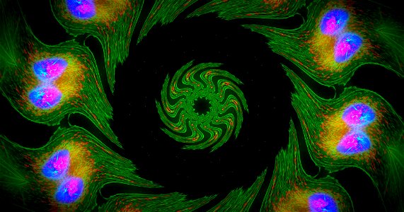 Kaleidoscope211210174506