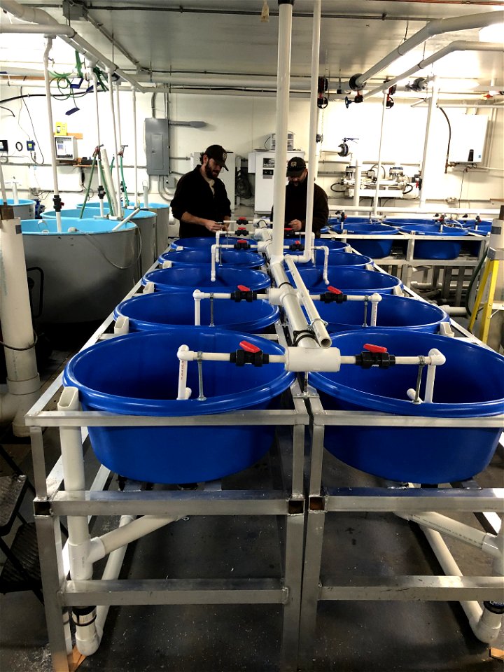Installing New Fry Tanks at Valley City National Fish Hatchery