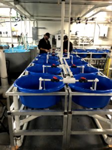 Installing New Fry Tanks at Valley City National Fish Hatchery