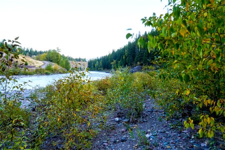 Walton Picnic Area