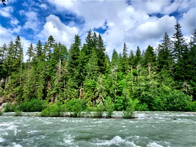 Sauk River near Murphy Creek, Mt. Baker-Snoqualmie National Forest. Photo by Anne Vassar June 4, 2021.