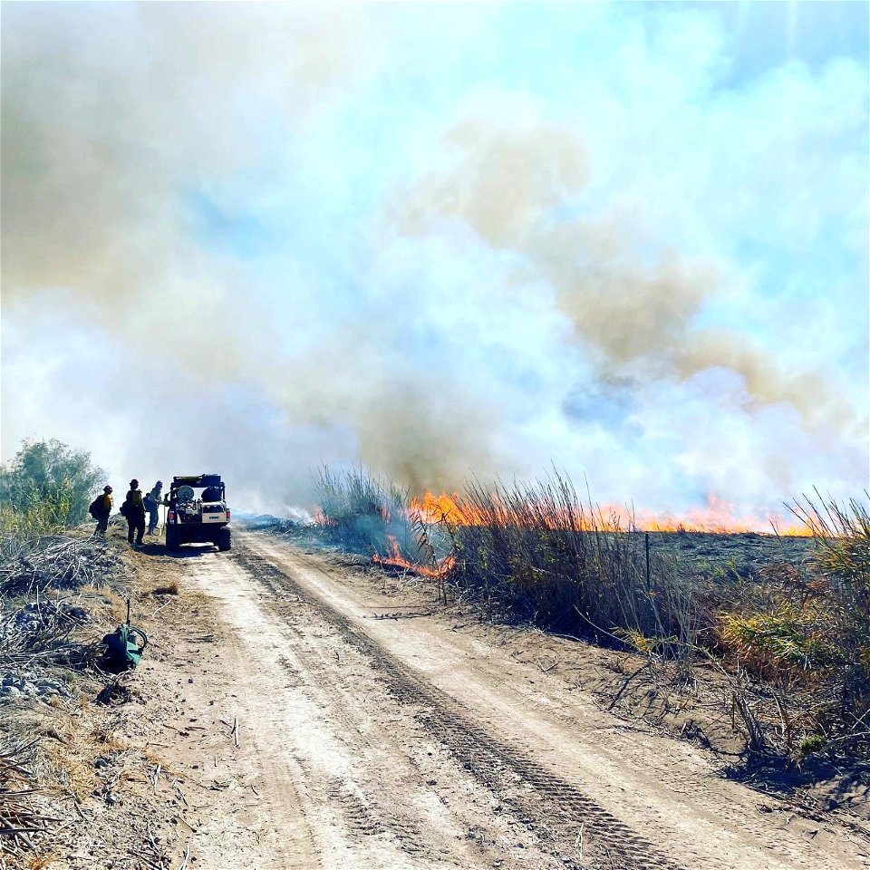 2021 USFWS Fire Employee Photo Contest Category: Fuels Management