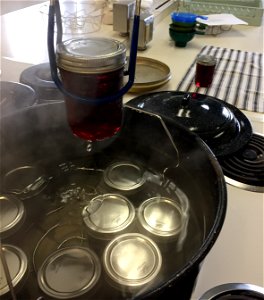 Using jar lifter to remove grape jelly from canner