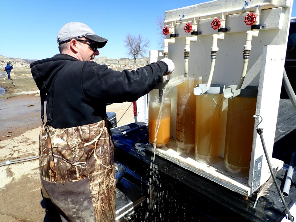 Northern Pike Spawning, 2015 photo