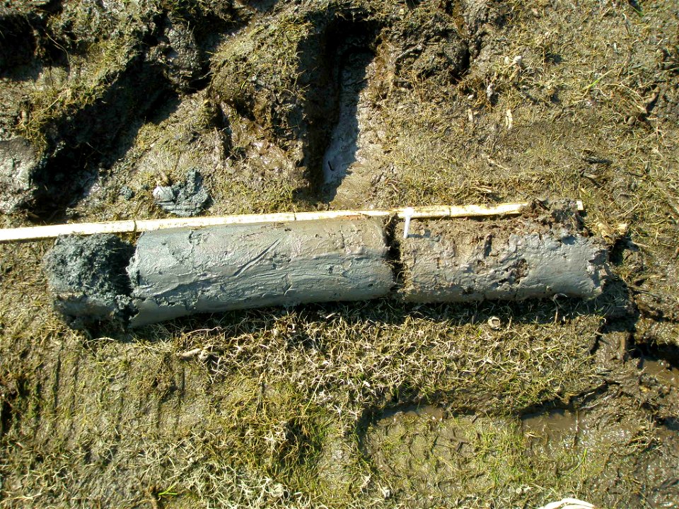 soil profile NWCA11-2070_06.06