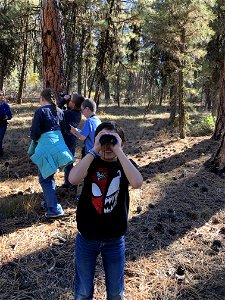 A group of kids learn about forest science at an Every Kid Outdoors Field Day