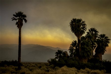 Oasis of Mara with smoke from the Apple Fire at sunset photo