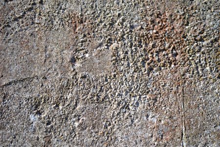 Texture for free photo
