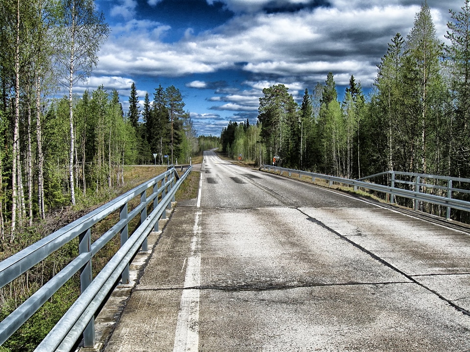 Highway forest trees