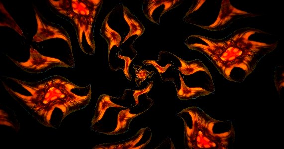 Kaleidoscope230305165632