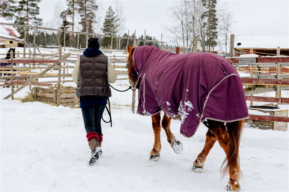 Turengin ratsastuskoulu, Janakkala
