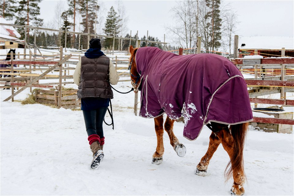 Turengin ratsastuskoulu, Janakkala photo