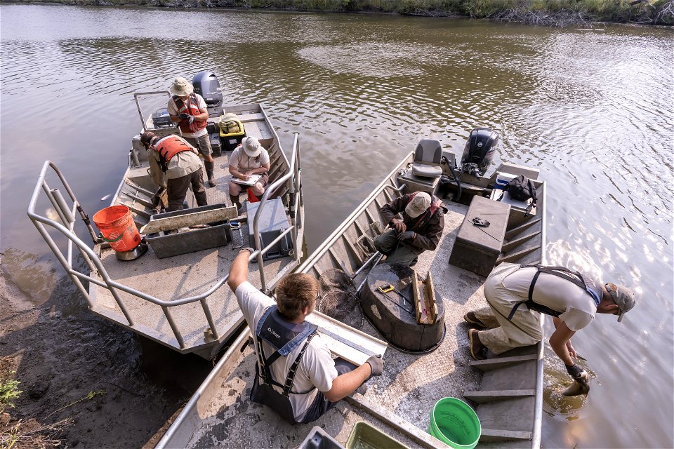 Invasive Carp Research on the James River in South Dakota. Photo: Sam Stukel (USFWS)