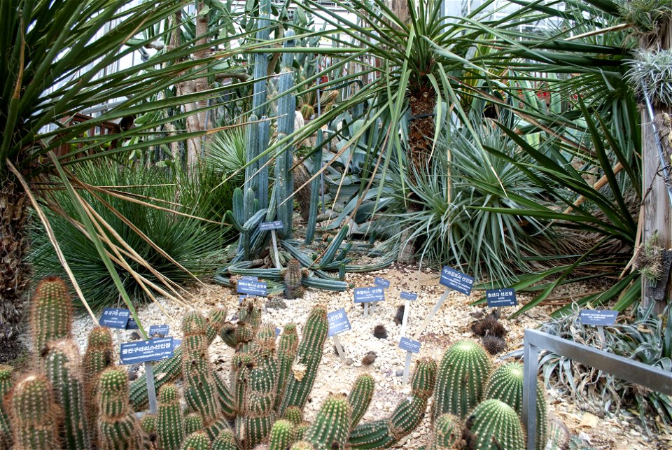 Hantaek Botanical Garden