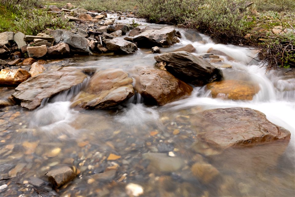 Summer stream photo