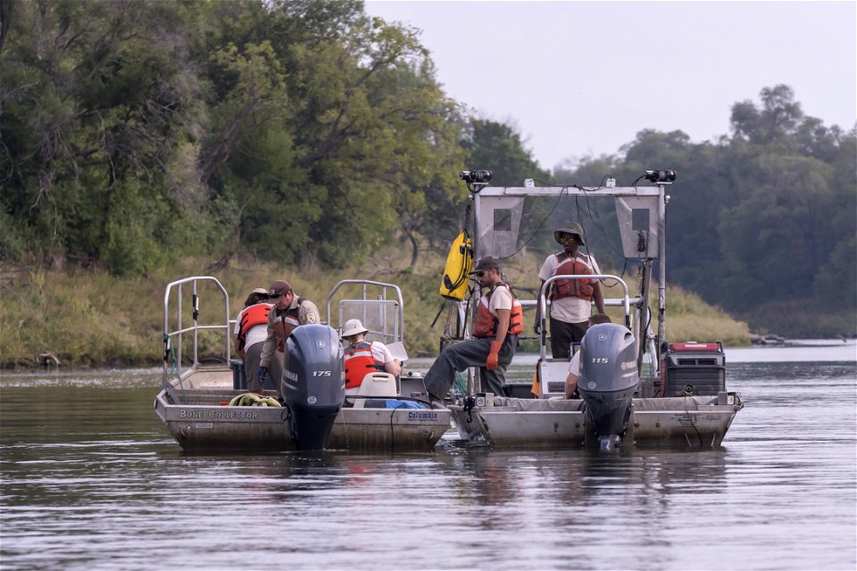 Invasive Carp Research on the James River in South Dakota. Photo: Sam Stukel (USFWS)