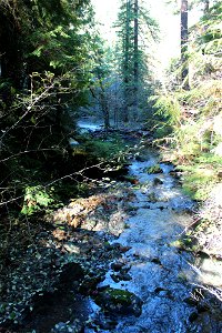 img_2067_deception-creek-downstream-from-bridge-north-umpqua-river-in-backgroundjpg_49364503881_o