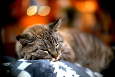 50mm F1.2