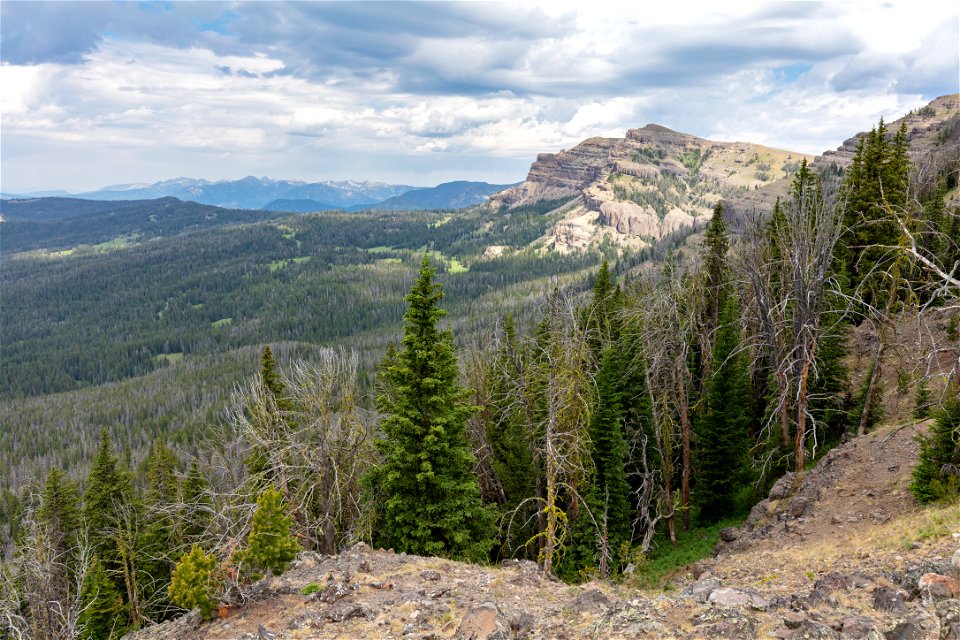 Custer-Gallatin National Forest, Ramshorn Peak Trail: views of Forterss Mountain