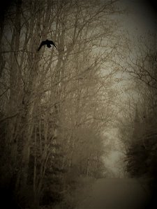 20211026-FS-Superior-SAR-002