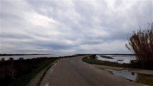Les marais salants de Salins-de-Giraud