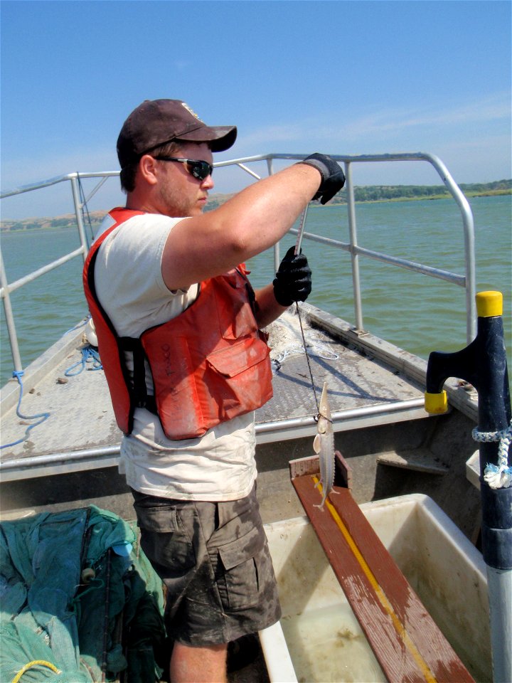 Population monitoring measurements