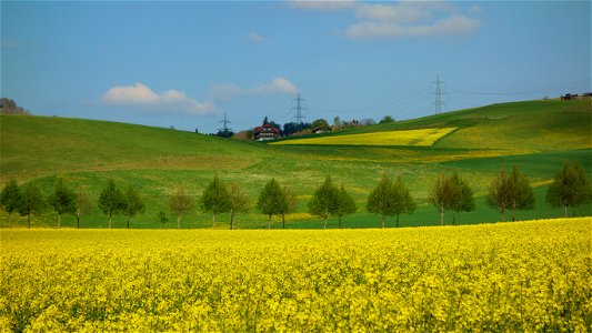 DSC09370