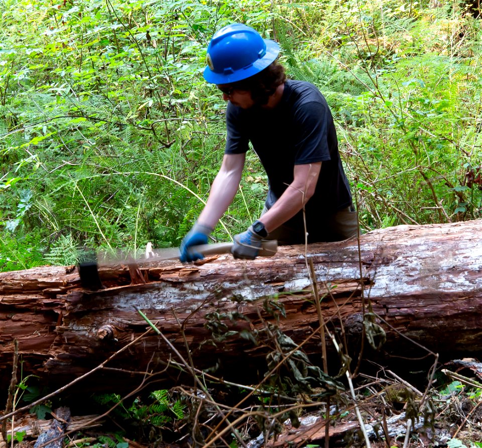 PNTA-Swift Creek-Mount Baker-32