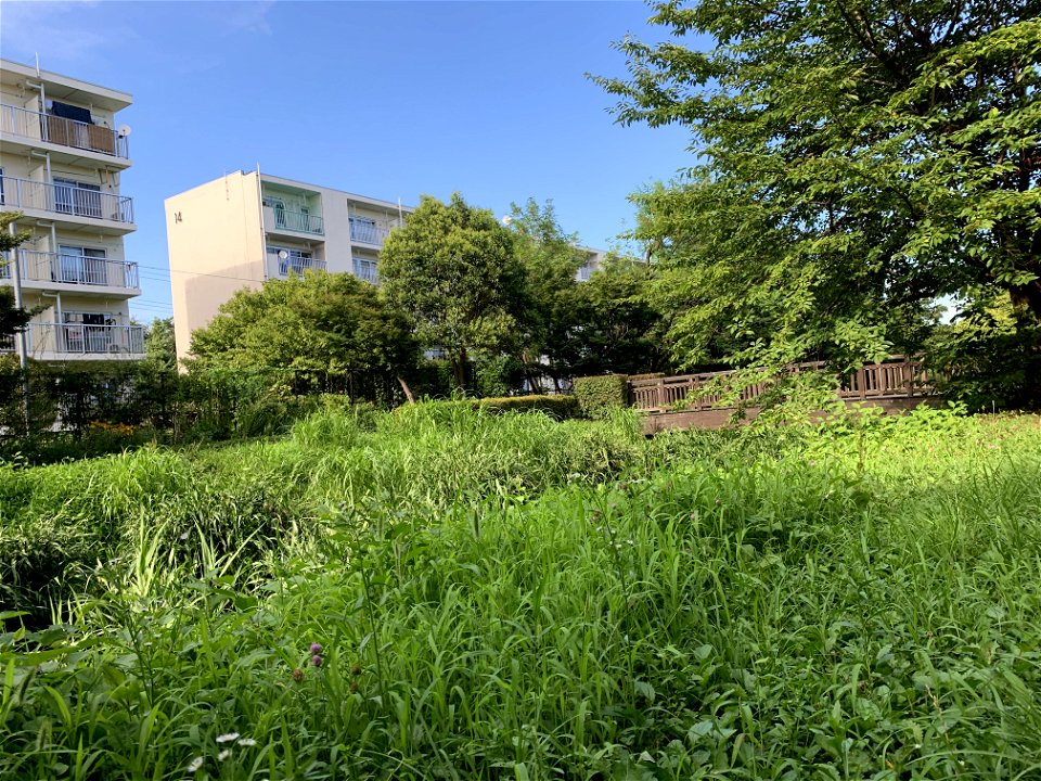 Shinyama Waterside Plaza in Higashikurume-shi