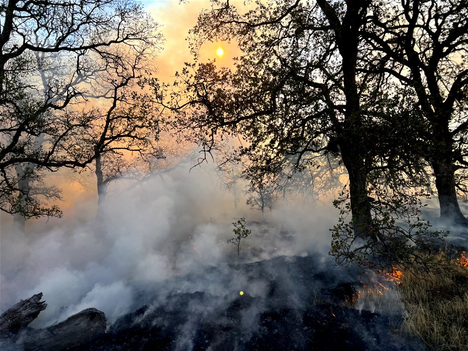 Prescribed fire near Sacramento River Bend Area