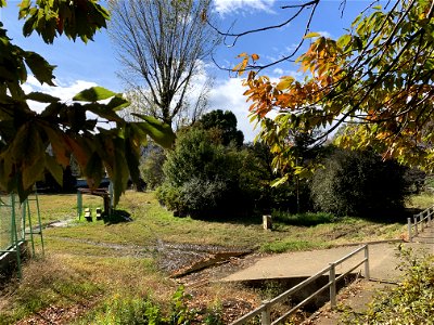 Hakusan Park, Higashikurume-shi in November